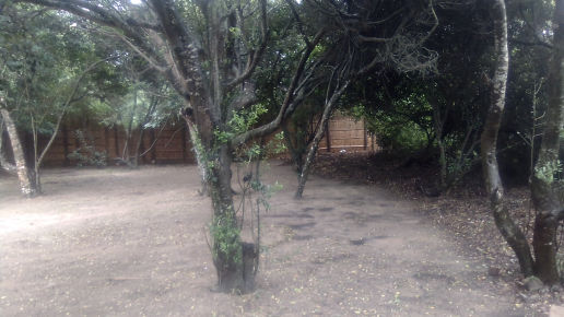 Sheltered camp sites