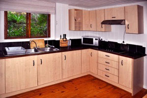 Downstairs Kitchen